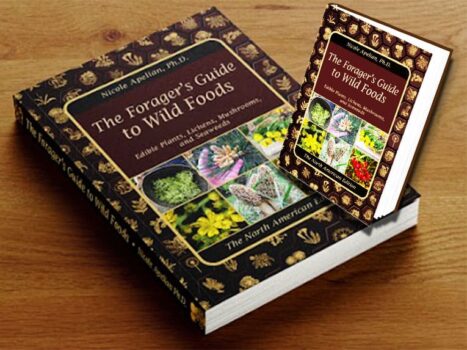 The Forager’s Guide to Wild Foods